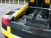Buy Now CARBON ENGINE BAY PANELS for LAMBORGHINI GALLARDO COUPE 2003 - 2008 and upgrade car parts from SIR Tuning at the Best Price. Headlights, Tail lights, Bodykits, Navigations, body kit and more - Fast & Free Shipping within Europe, US & Worldwide.