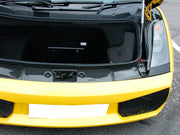 Buy Now CARBON FRONT TRUNK PANEL TRIMS for LAMBORGHINI GALLARDO COUPE 2003 - 2008 and upgrade car parts from SIR Tuning at the Best Price. Headlights, Tail lights, Bodykits, Navigations, body kit and more - Fast & Free Shipping within Europe, US & Worldwide.