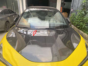 CARBON HOOD for LOTUS ELETRE