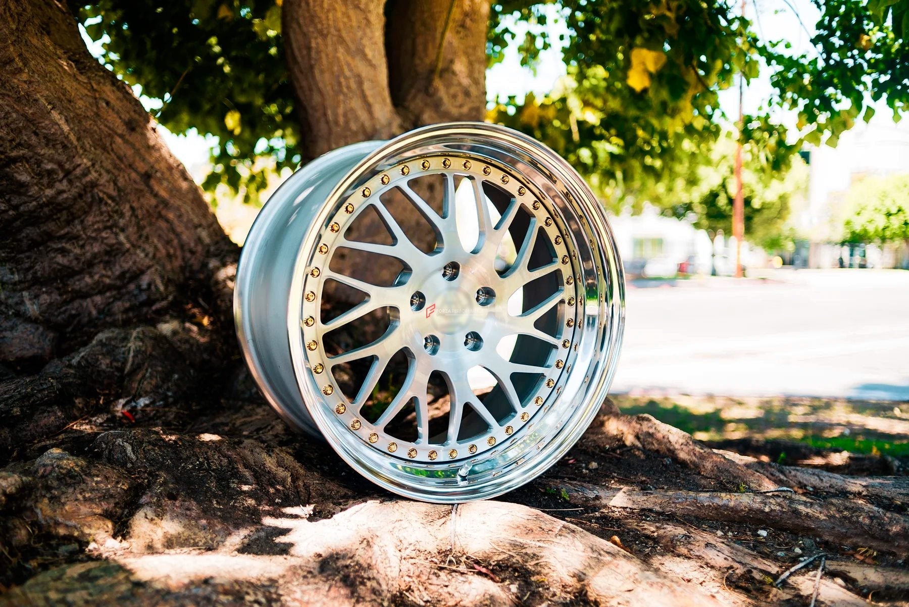 3-Piece FORGED WHEELS FOR ALL MODELS BF-44