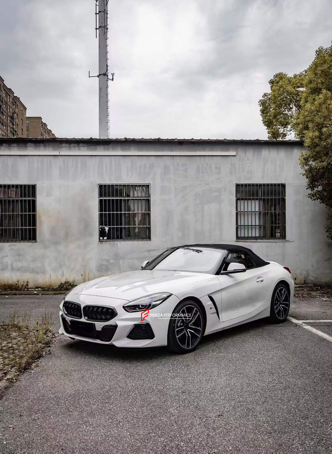 CARBON FRONT GRILLE for BMW Z4 G29 2018 - 2022