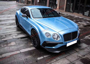 CARBON FIBER SIDE SKIRTS ADD ONS for BENTLEY CONTINENTAL GT COUPE GTC CONVERTIBLE 2011 - 2018