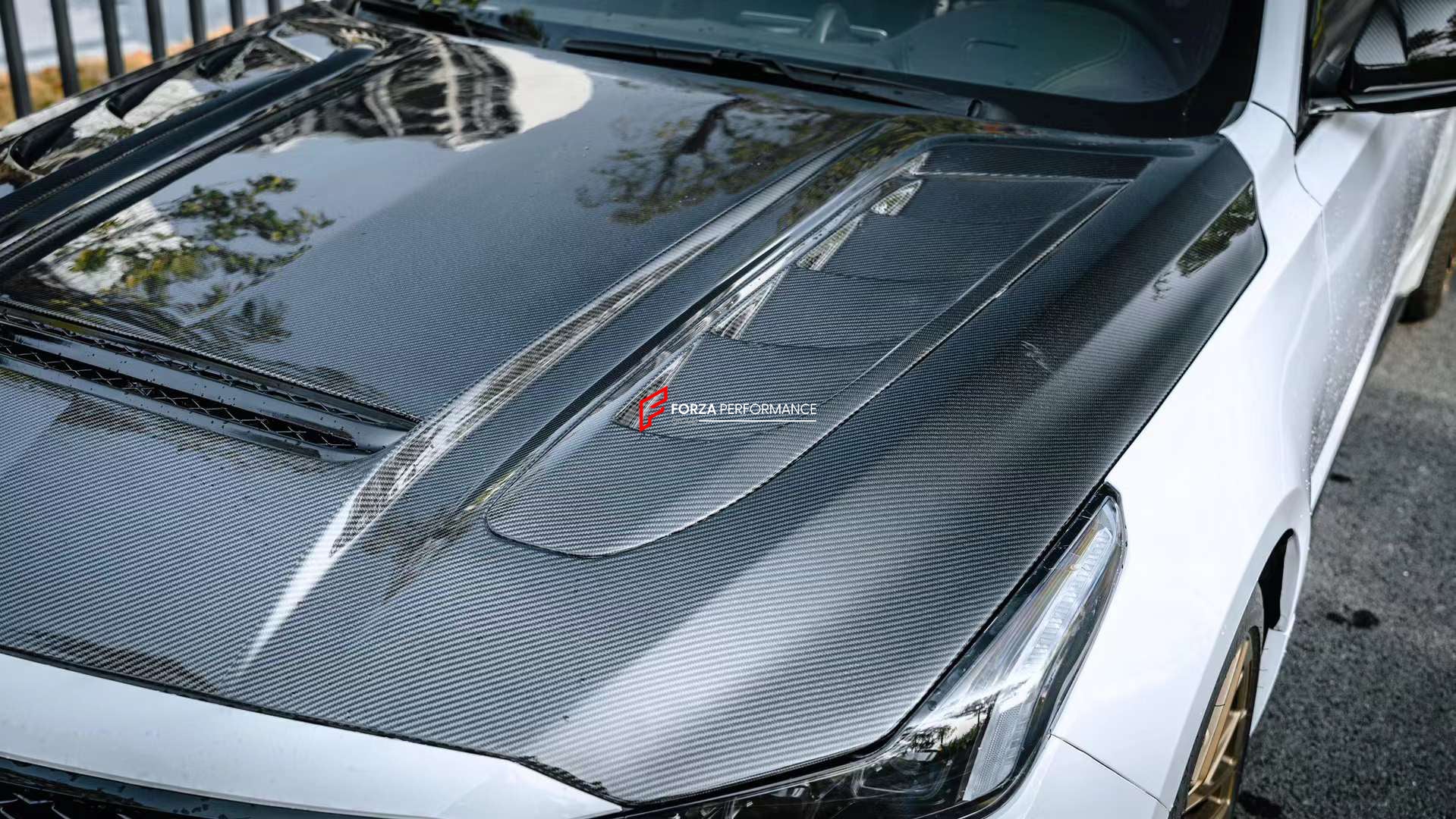 CARBON HOOD for CADILLAC CT5 2019 - 2024