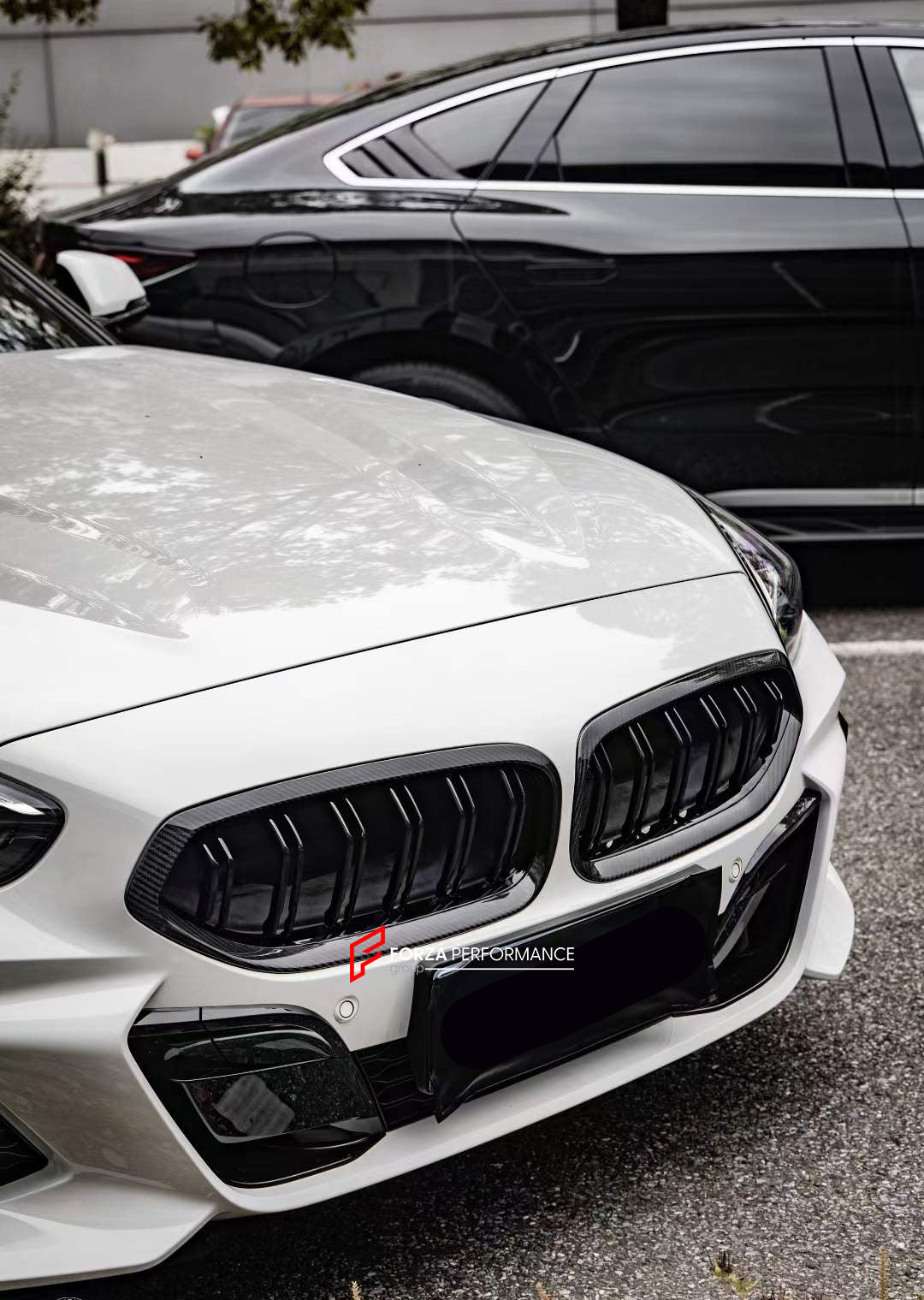 CARBON FRONT GRILLE for BMW Z4 G29 2018 - 2022