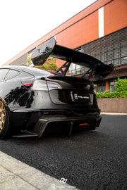 CARBON BODY KIT for TESLA MODEL 3 2017 - 2023
