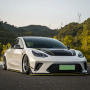 CARBON BODY KIT for TESLA MODEL 3 2017 - 2023