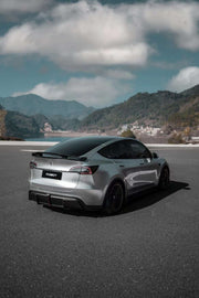 CARBON BODY KIT for TESLA MODEL Y 2020 - 2024