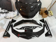 DRY CARBON SIDE SKIRTS for LAMBORGHINI REVUELTO 2023+