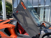 DRY CARBON DOORS for LAMBORGHINI AVENTADOR LP700 LP720 LP750 2011 - 2022