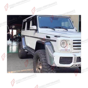 DRY CARBON FENDERS for MERCEDES-BENZ G-CLASS W463 2008 - 2018