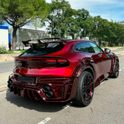 DRY CARBON FRONT FENDERS for FERRARI PUROSANGUE 2023+