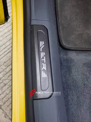 DRY CARBON DOOR SEALS for LOTUS ELETRE