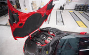 DRY CARBON REPLACEMENT ENGINE COVER for FERRARI PUROSANGUE
