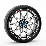 FORGED WHEELS RIMS for ALPINE A290 2024+