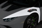 FRONT FENDERS for LAMBORGHINI HURACAN LP610 LP580 2014 - 2019